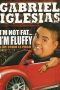 Gabriel Iglesias I m Not Fat… I m Fluffy 2009 Subtitle Indonesia